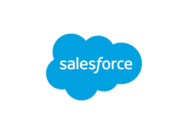 Salesforce Icon